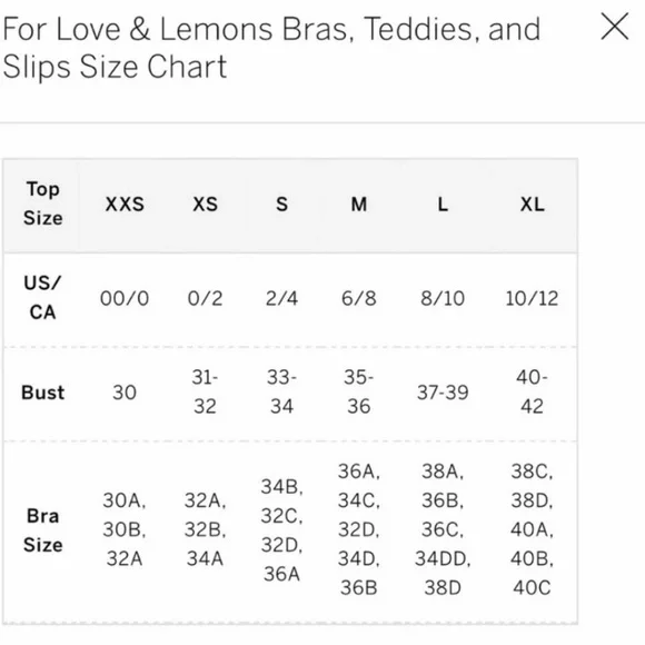 ❤️🍋NWT For Love & Lemons Lilou Embroidered Dress S - Picture 6 of 6